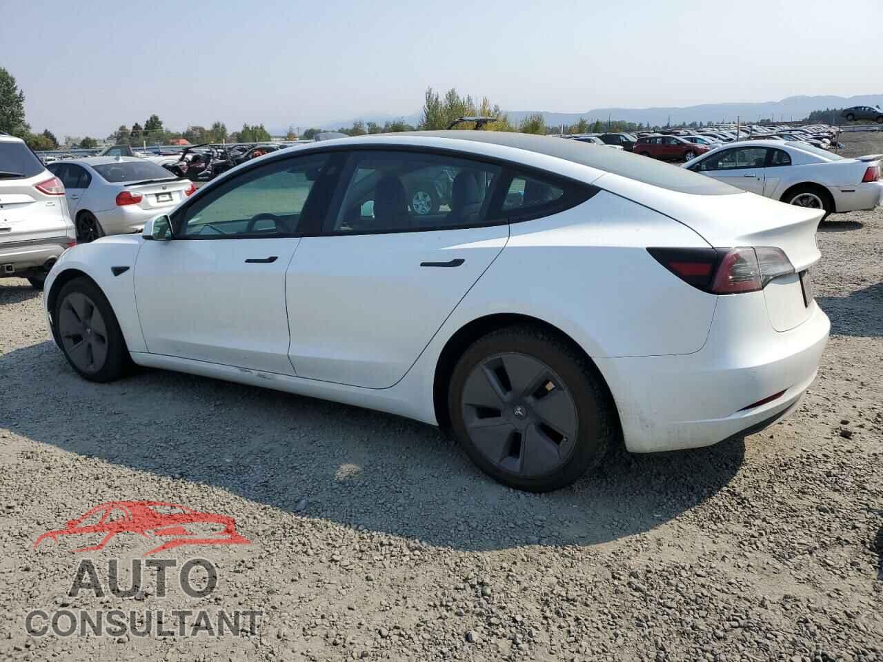 TESLA MODEL 3 2023 - 5YJ3E1EA1PF450113