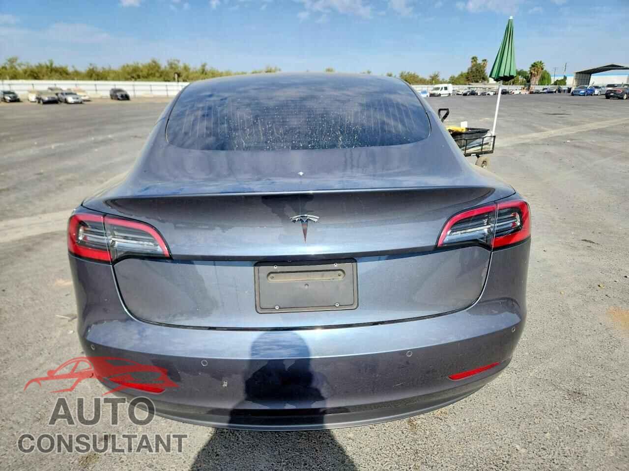 TESLA MODEL 3 2020 - 5YJ3E1EA9LF631681