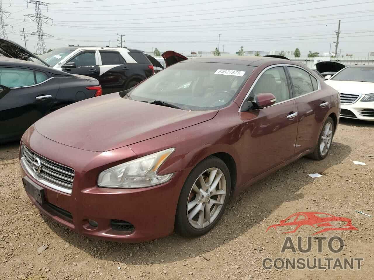NISSAN MAXIMA 2009 - 1N4AA51E99C826209