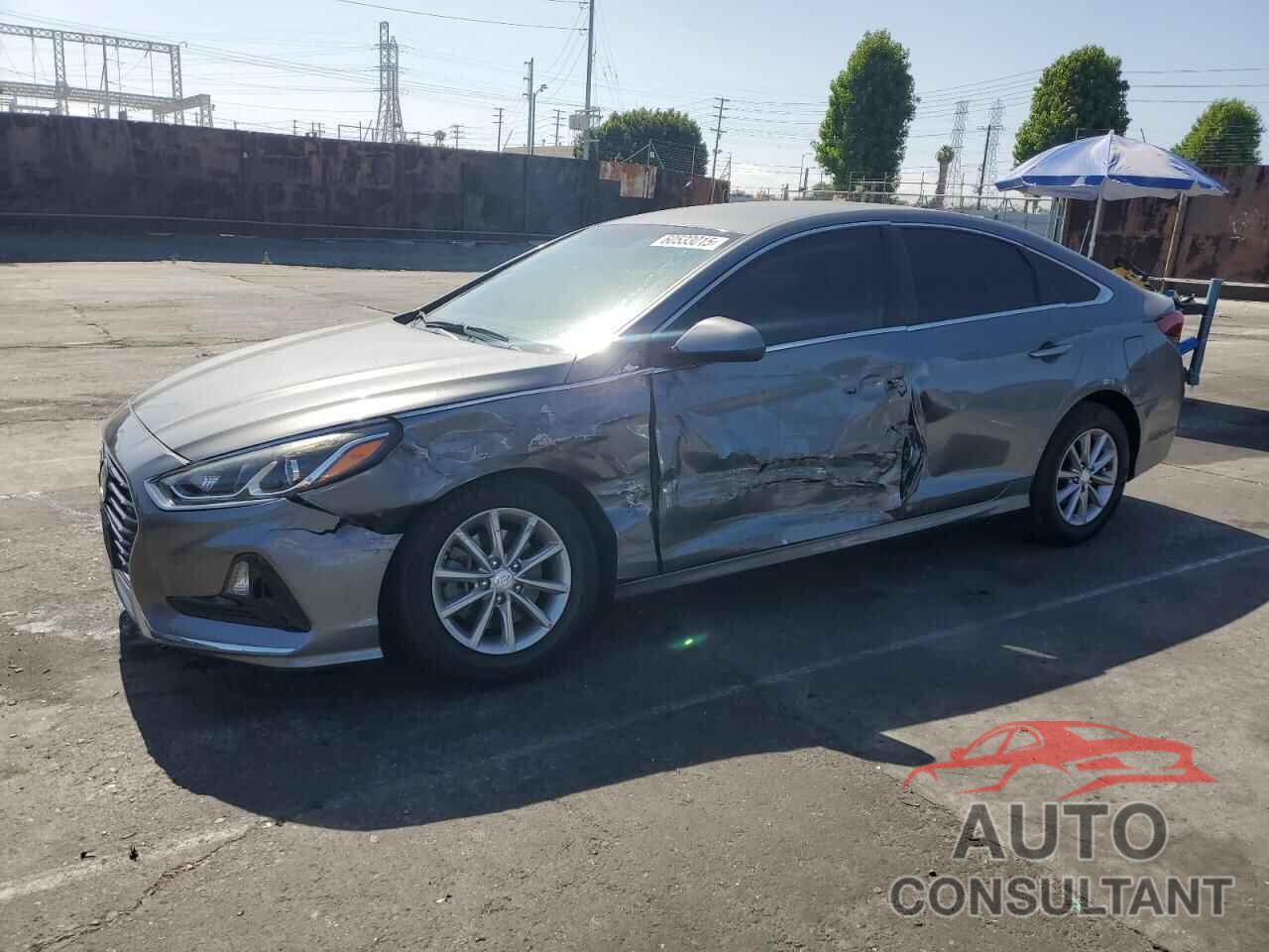 HYUNDAI SONATA 2019 - 5NPE24AF7KH755341
