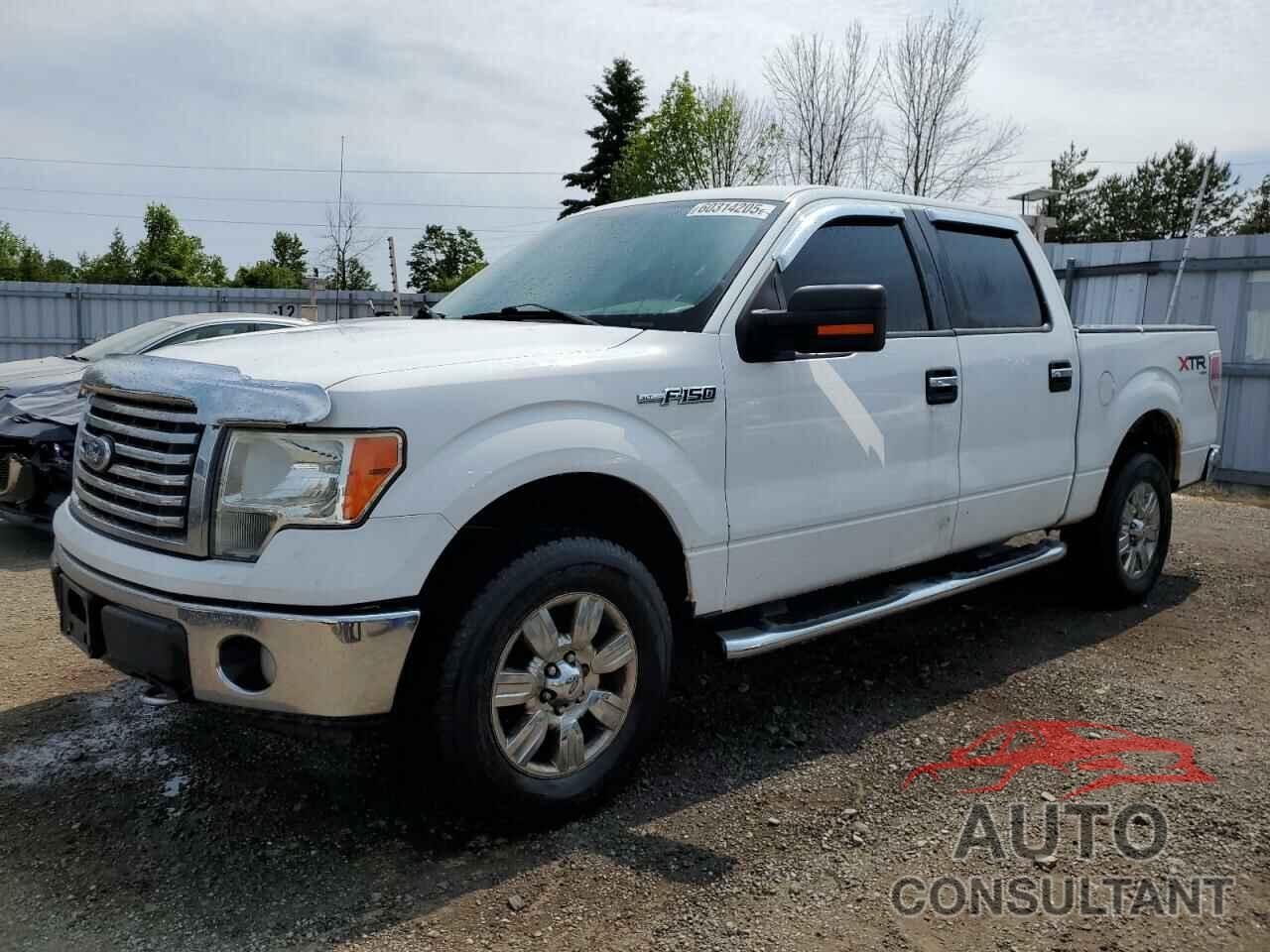 FORD F-150 2010 - 1FTFW1EV5AFC79320