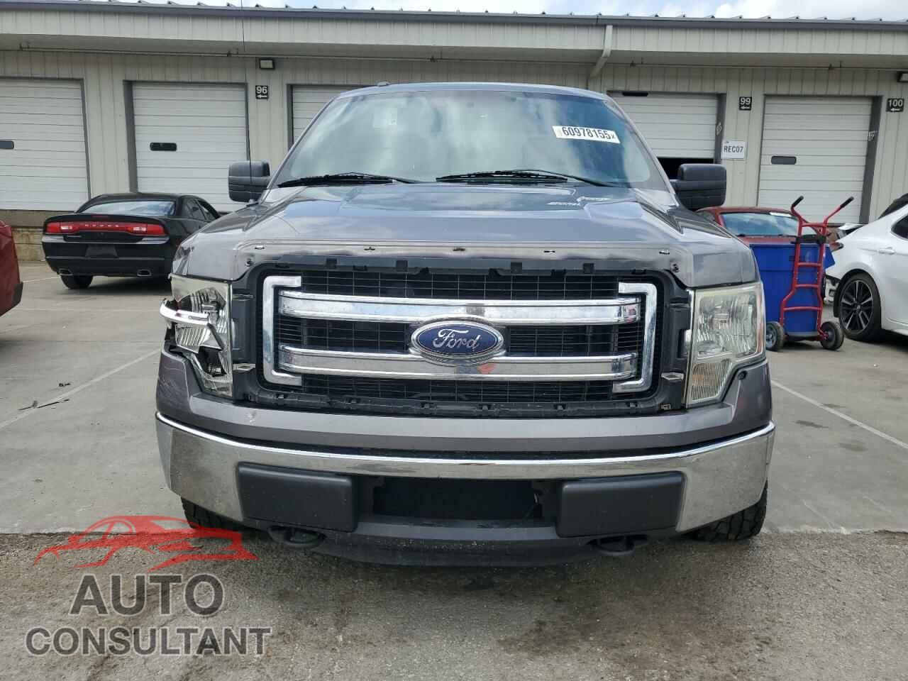 FORD F-150 2013 - 1FTFW1EF8DFD19905