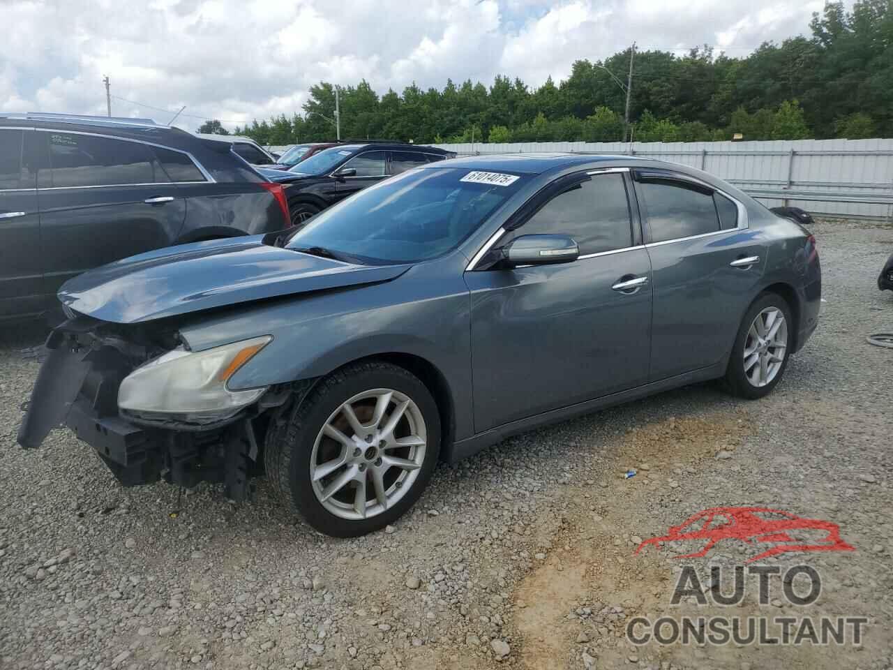 NISSAN MAXIMA 2011 - 1N4AA5AP9BC806209