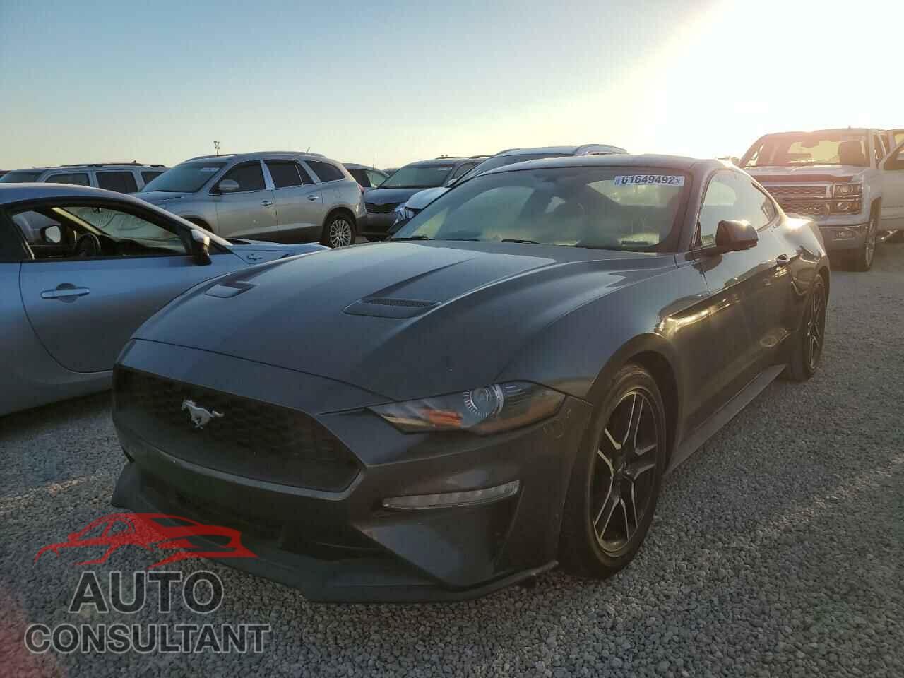 FORD MUSTANG 2019 - 1FA6P8TH3K5167275