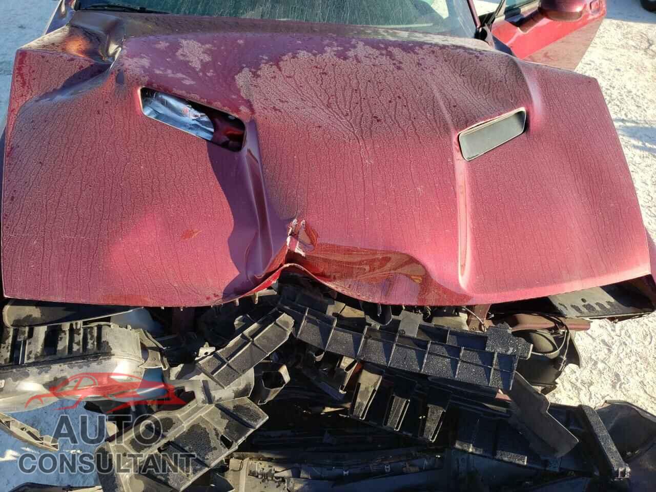 DODGE CHALLENGER 2019 - 2C3CDZAG4KH744737