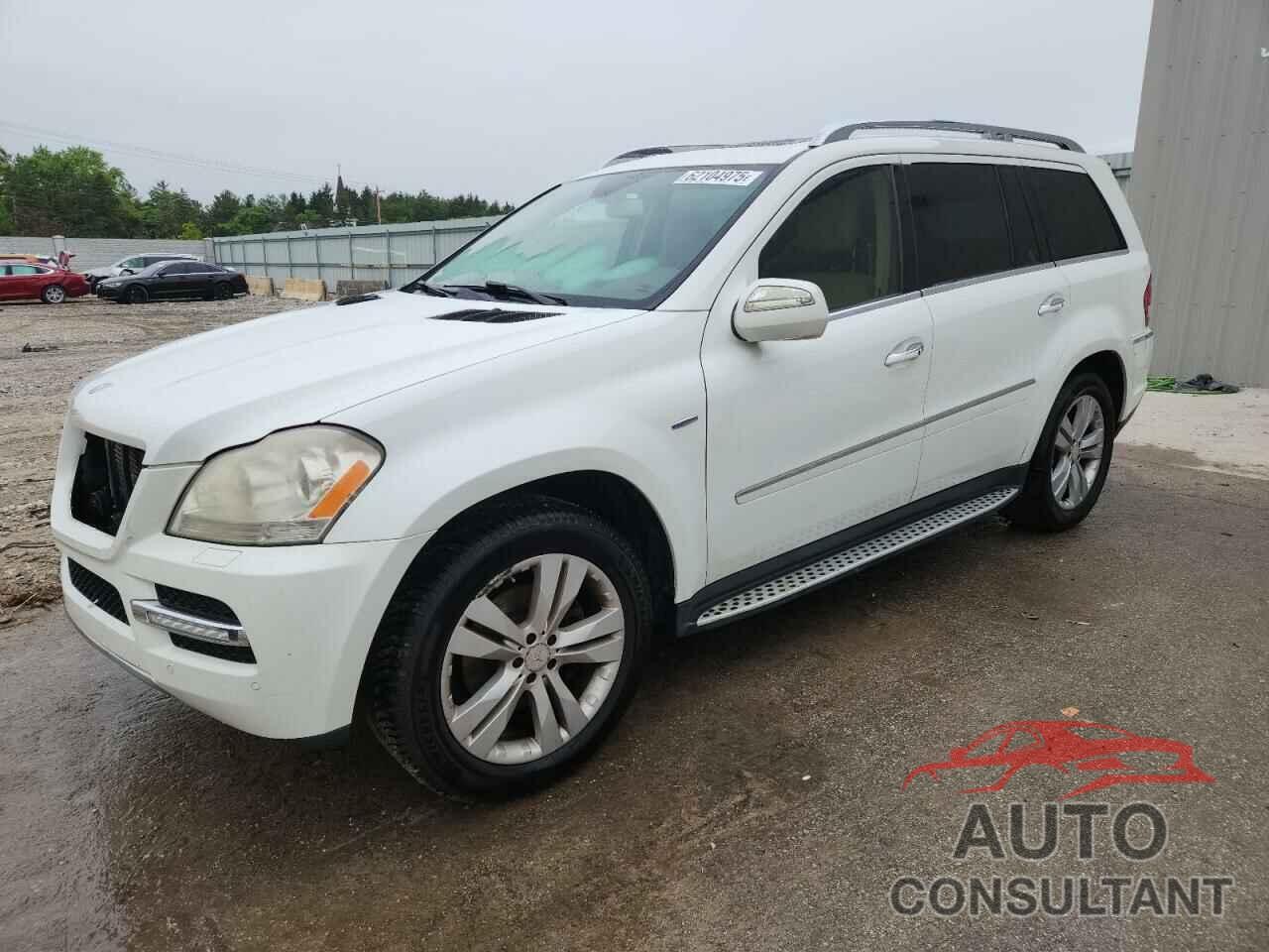 MERCEDES-BENZ GL-CLASS 2010 - 4JGBF2FE1AA616223