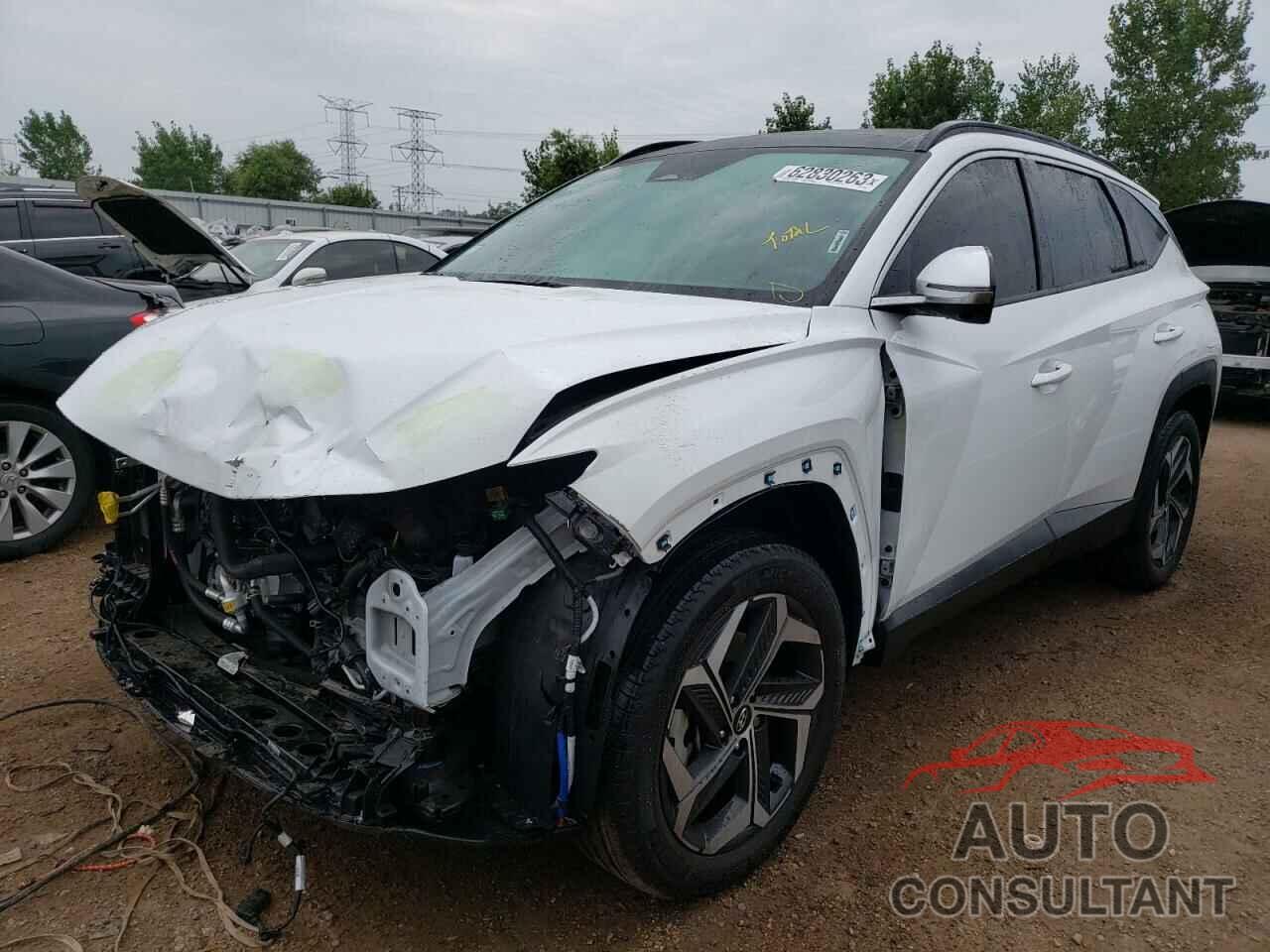 HYUNDAI TUCSON 2023 - 5NMJECAE5PH234968