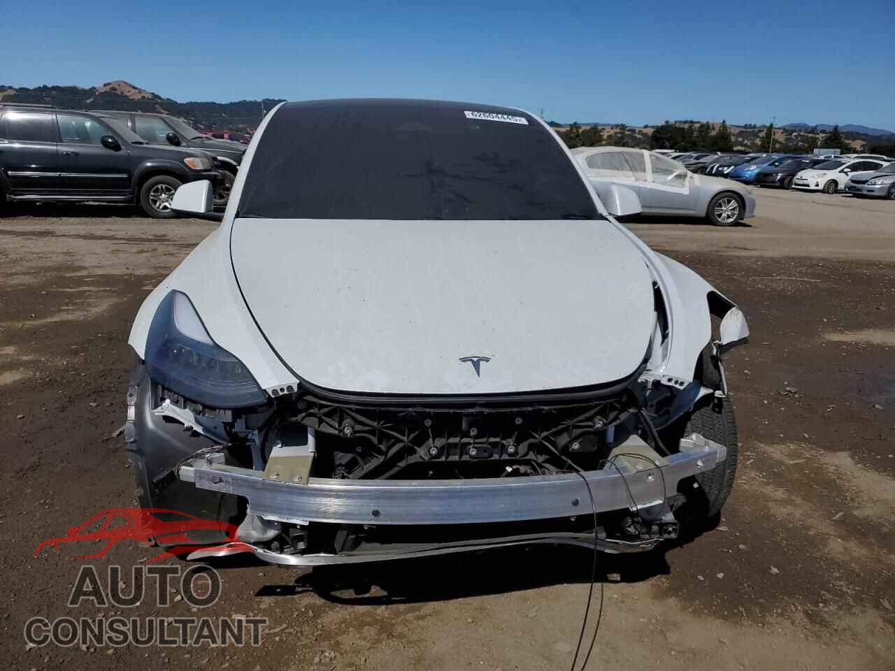 TESLA MODEL Y 2024 - 7SAYGDEE5RF090807