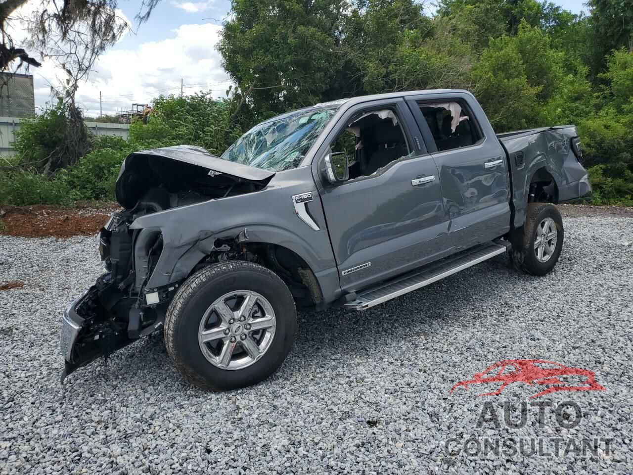 FORD All Models 2024 - 1FTFW3LD2RFA20883