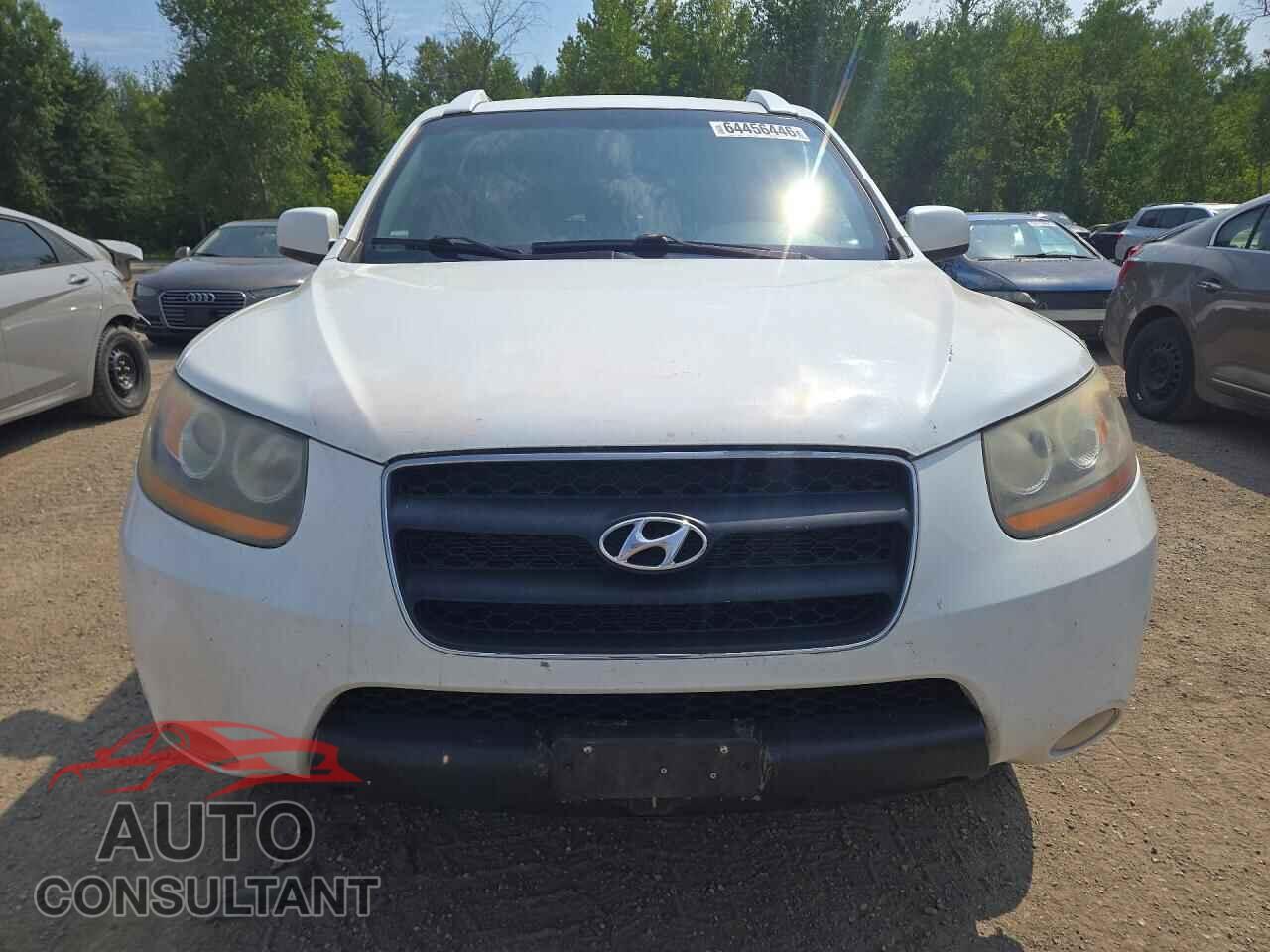 HYUNDAI SANTA FE 2009 - 5NMSG73E89H264794