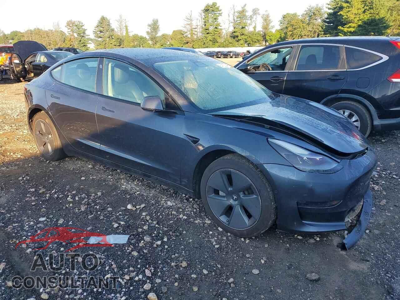 TESLA MODEL 3 2021 - 5YJ3E1EA2MF048029