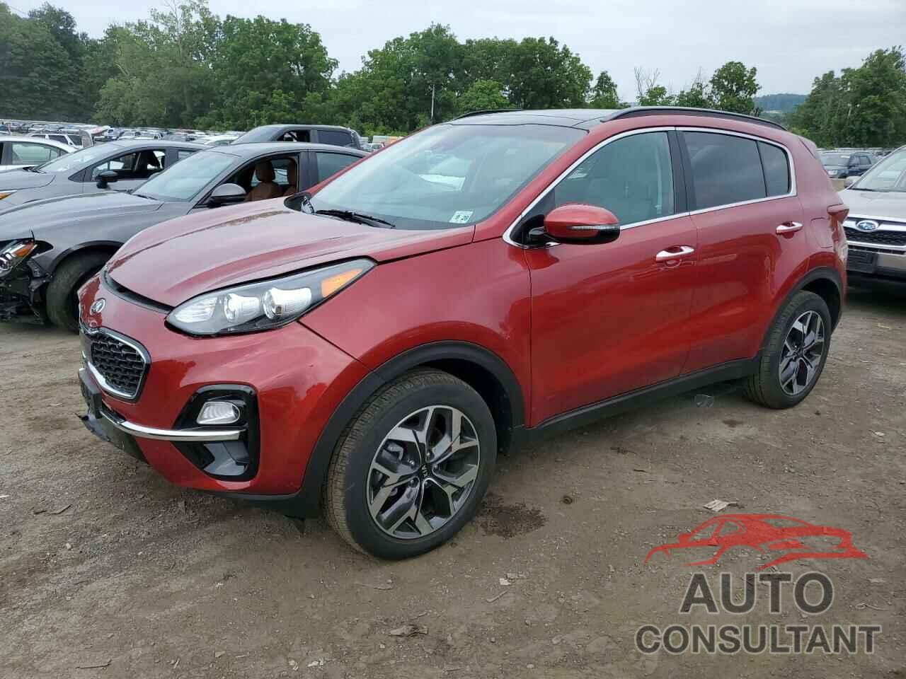 KIA SPORTAGE 2022 - KNDPNCAC2N7956458