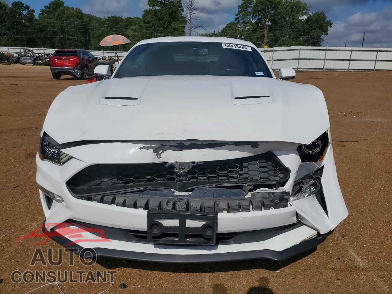 FORD MUSTANG 2019 - 1FA6P8TH9K5133891