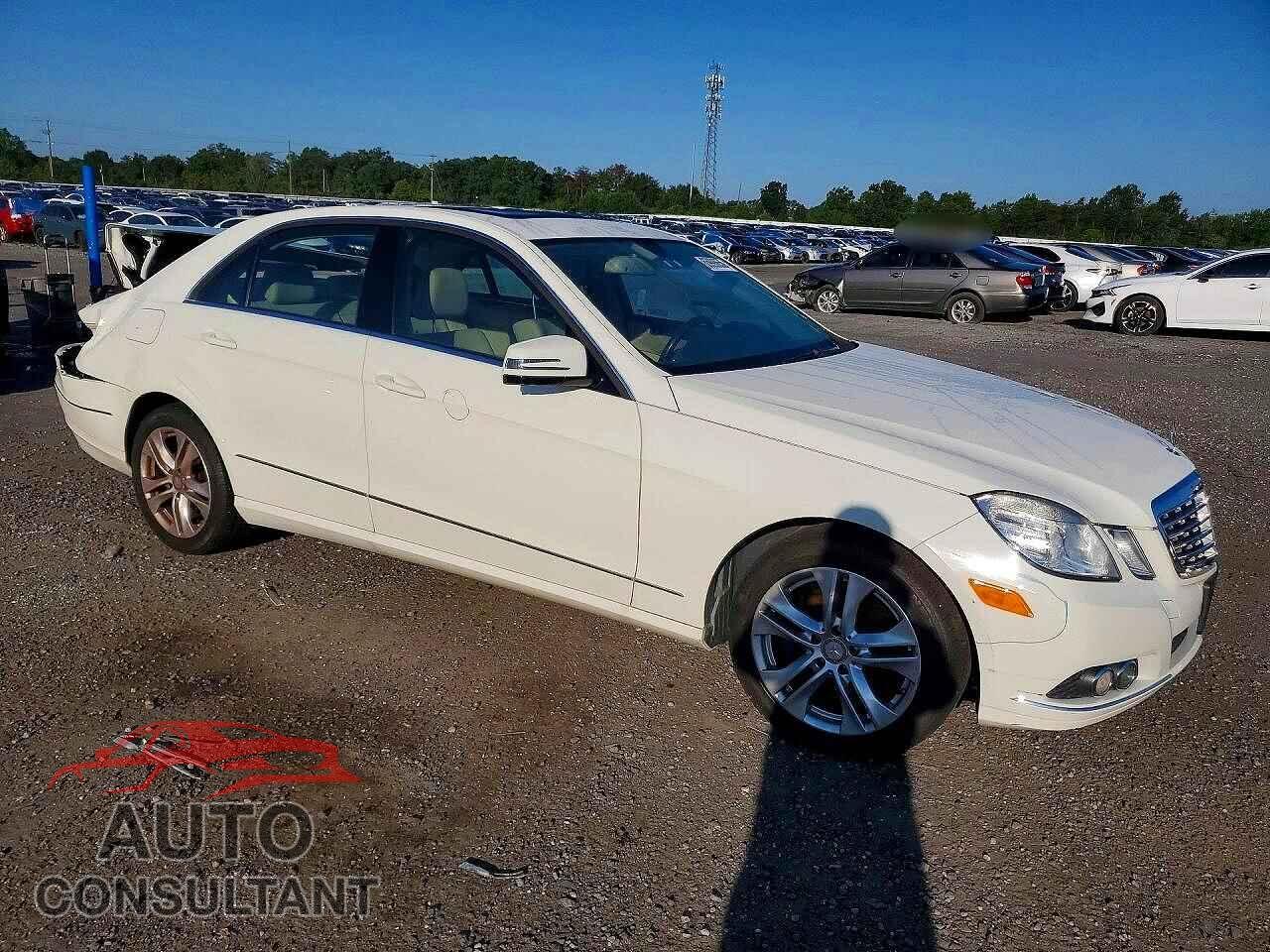 MERCEDES-BENZ E-CLASS 2010 - WDDHF8HB6AA116245
