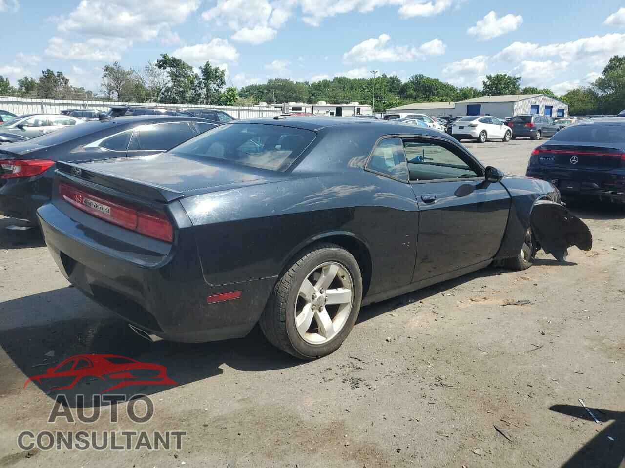DODGE CHALLENGER 2013 - 2C3CDYBT1DH535366