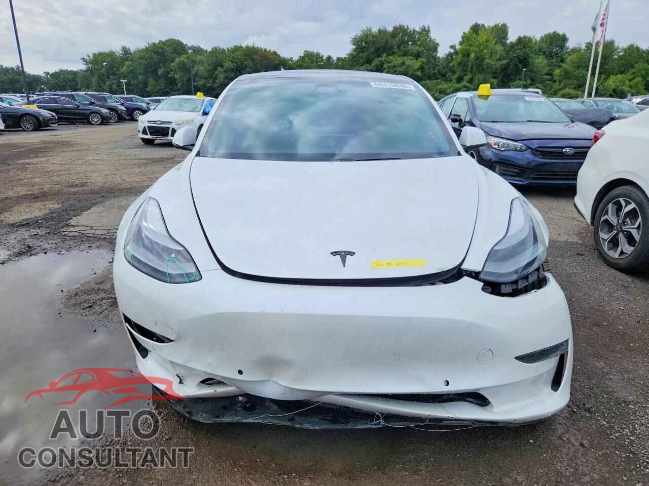 TESLA MODEL 3 2021 - 5YJ3E1EA3MF043812