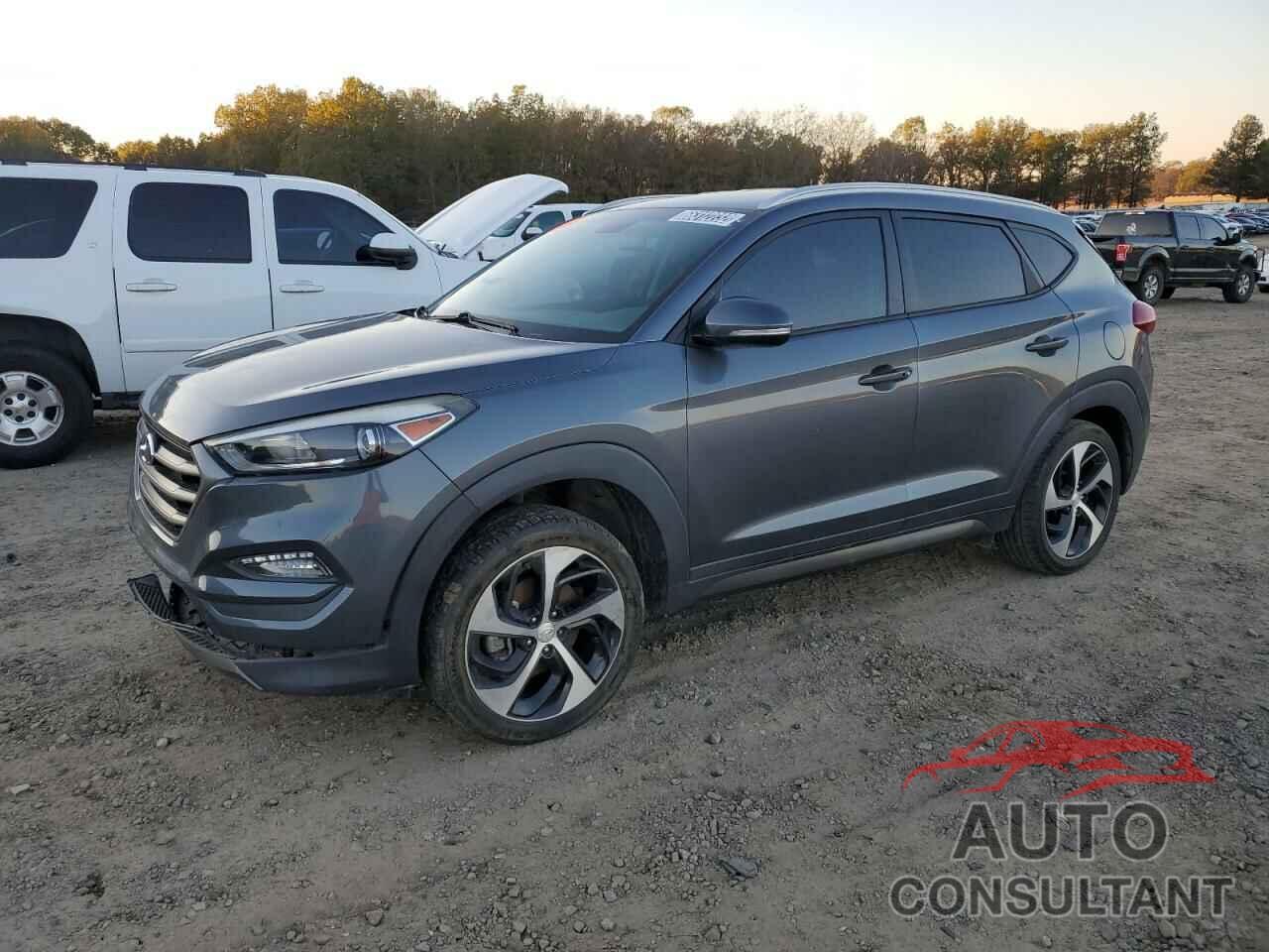 HYUNDAI TUCSON 2016 - KM8J33A21GU074586