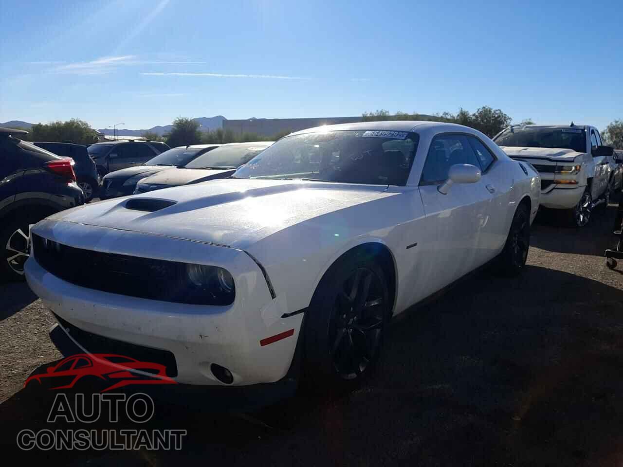 DODGE CHALLENGER 2019 - 2C3CDZBT9KH629336