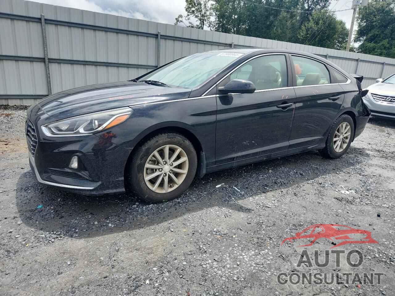 HYUNDAI SONATA 2019 - 5NPE24AF1KH809748