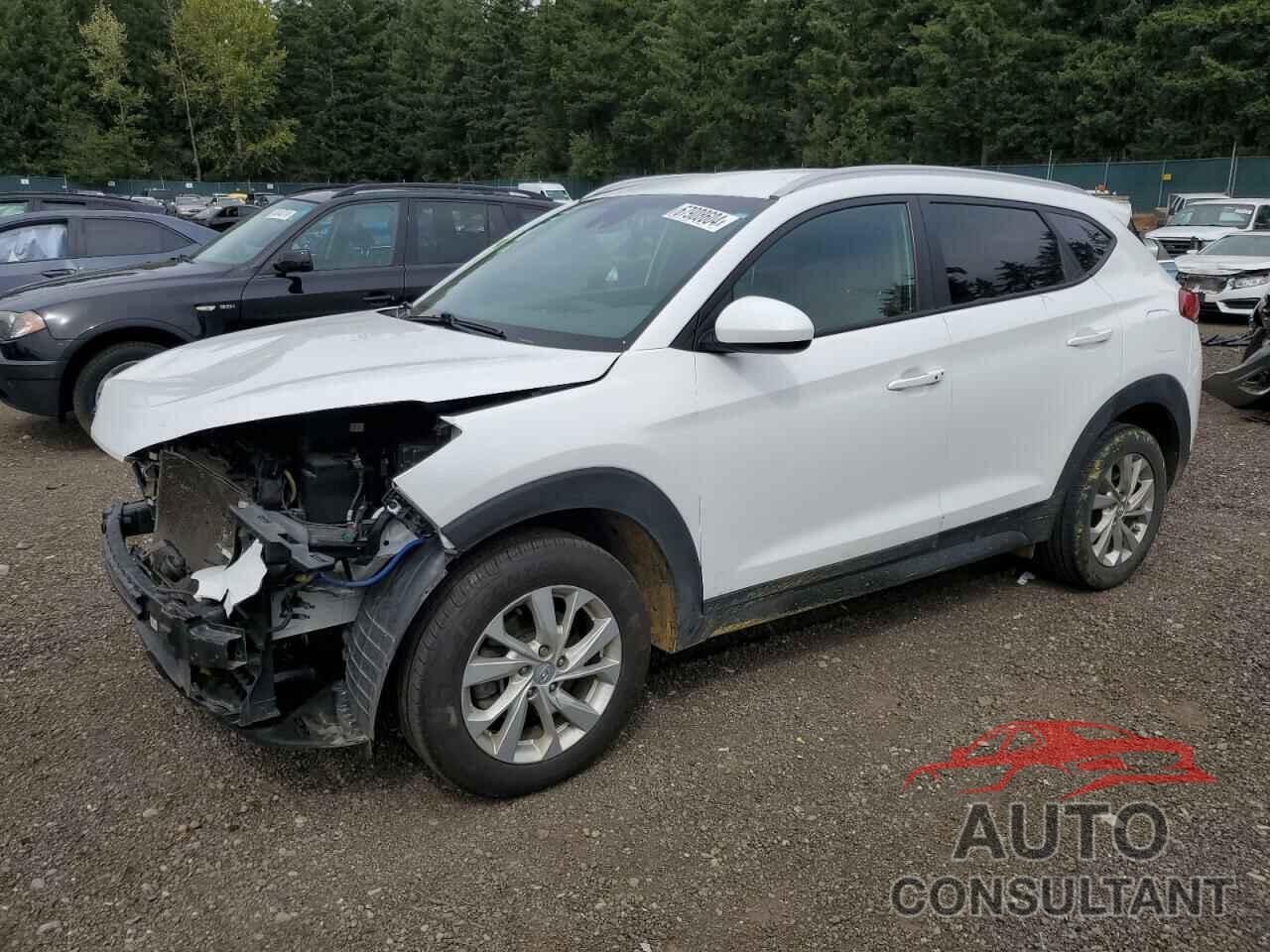 HYUNDAI TUCSON 2020 - KM8J33A48LU167469