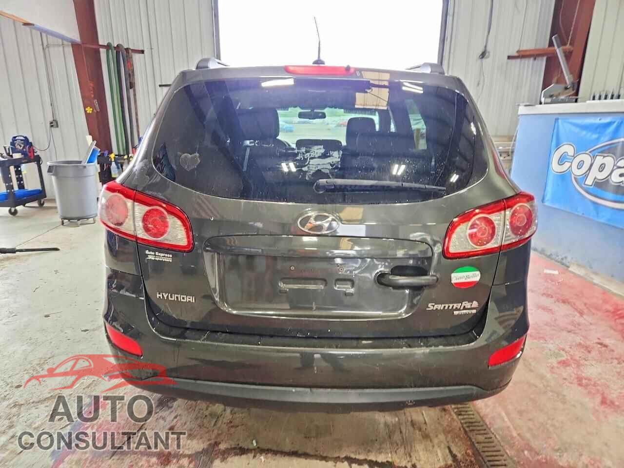 HYUNDAI SANTA FE 2010 - 5NMSGDAB9AH407991