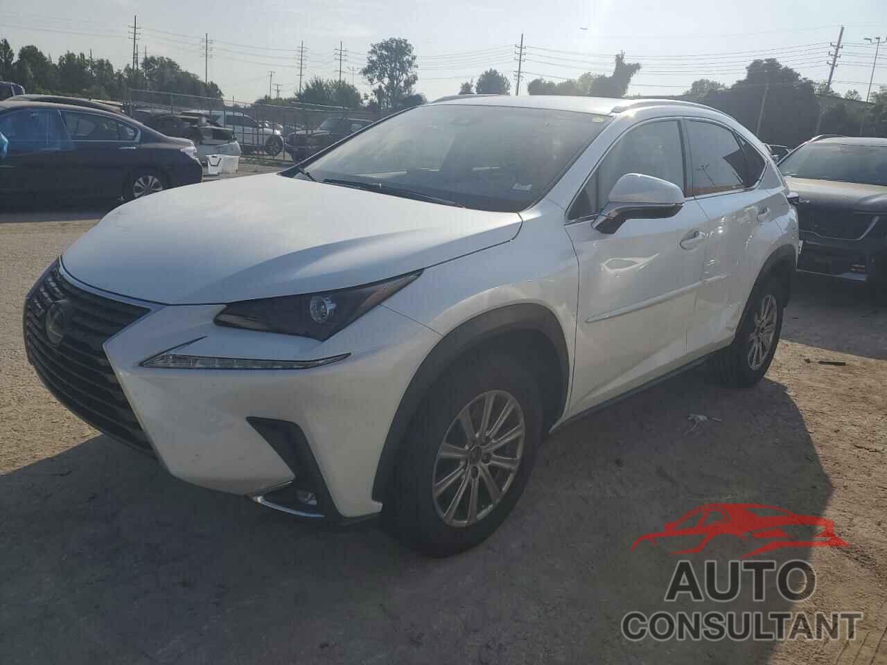 LEXUS NX 2019 - JTJYARBZ5K2135348