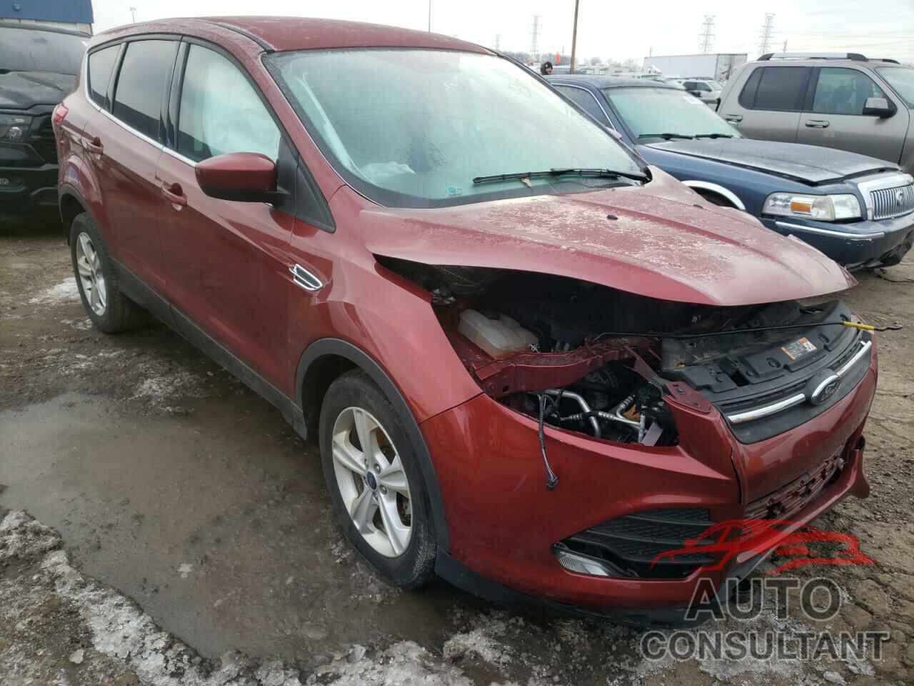 FORD ESCAPE 2016 - 1FMCU0GXXGUC22791