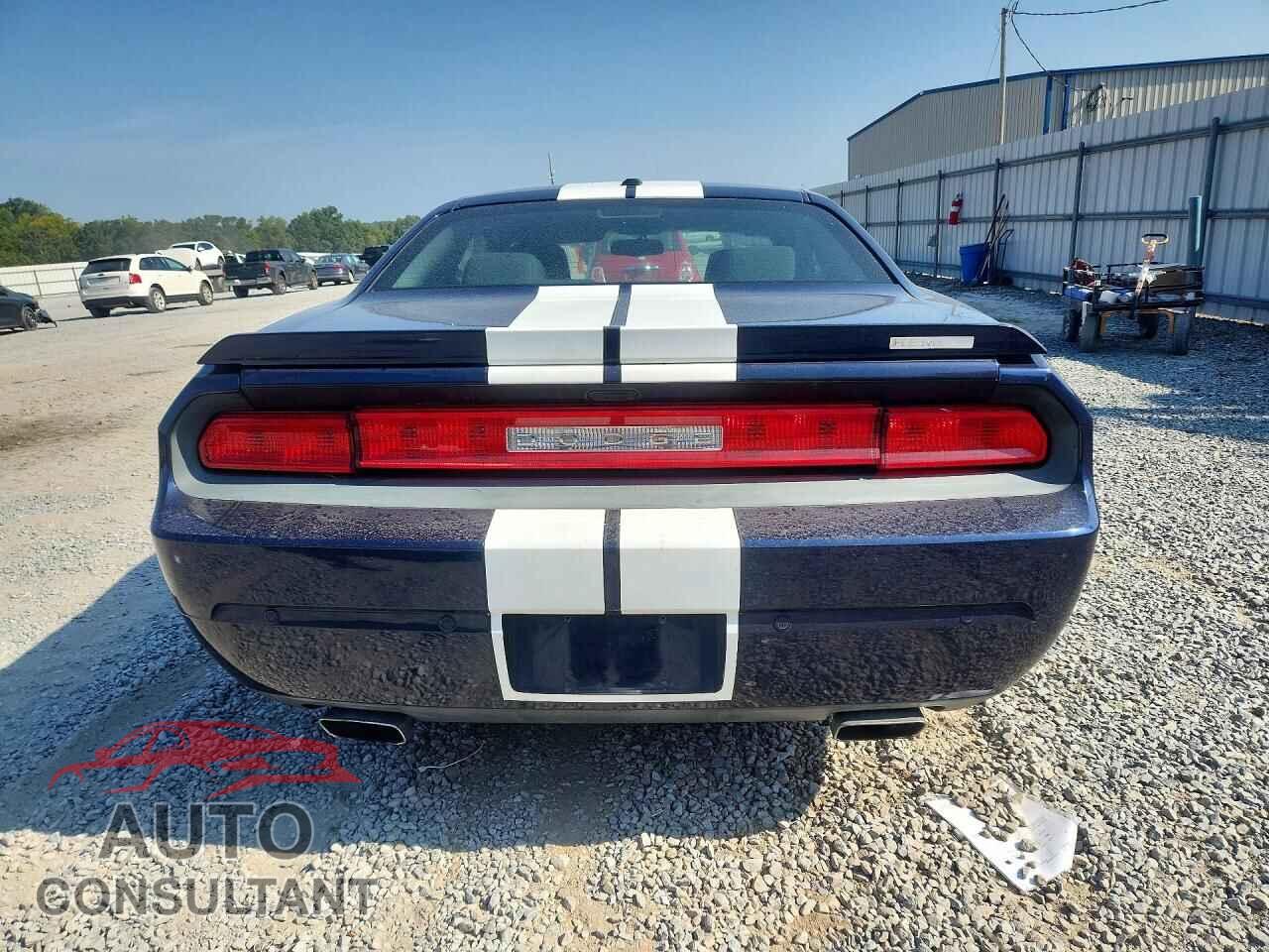 DODGE CHALLENGER 2014 - 2C3CDYBT1EH293633