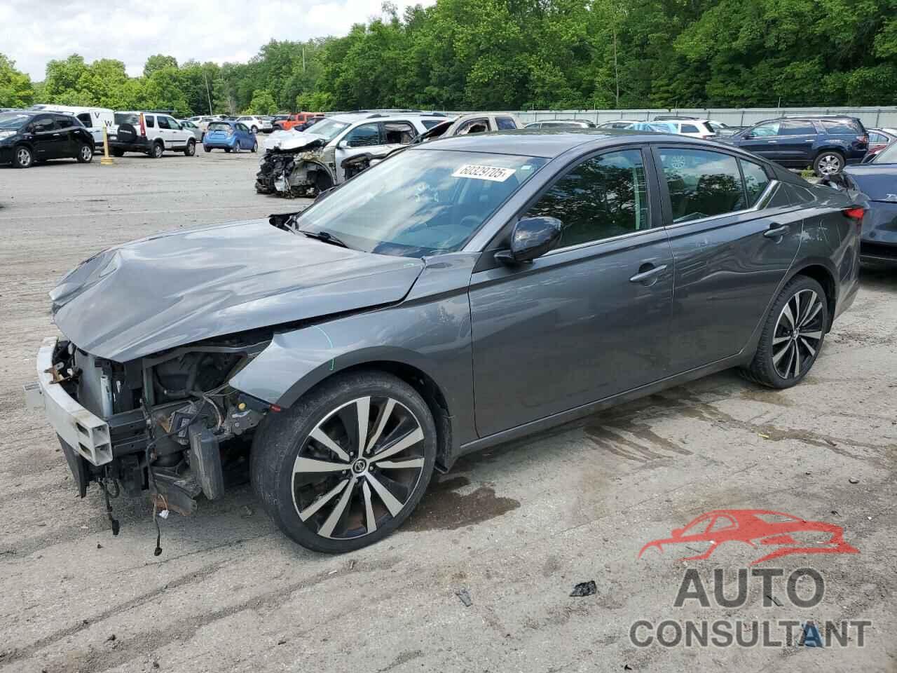 NISSAN ALTIMA 2019 - 1N4BL4CW7KN320435