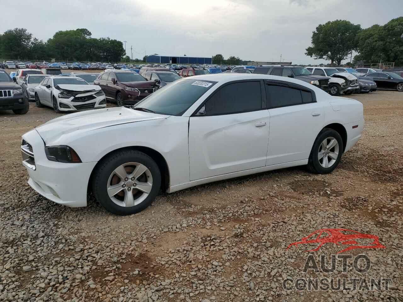 DODGE CHARGER 2014 - 2C3CDXBG1EH155443