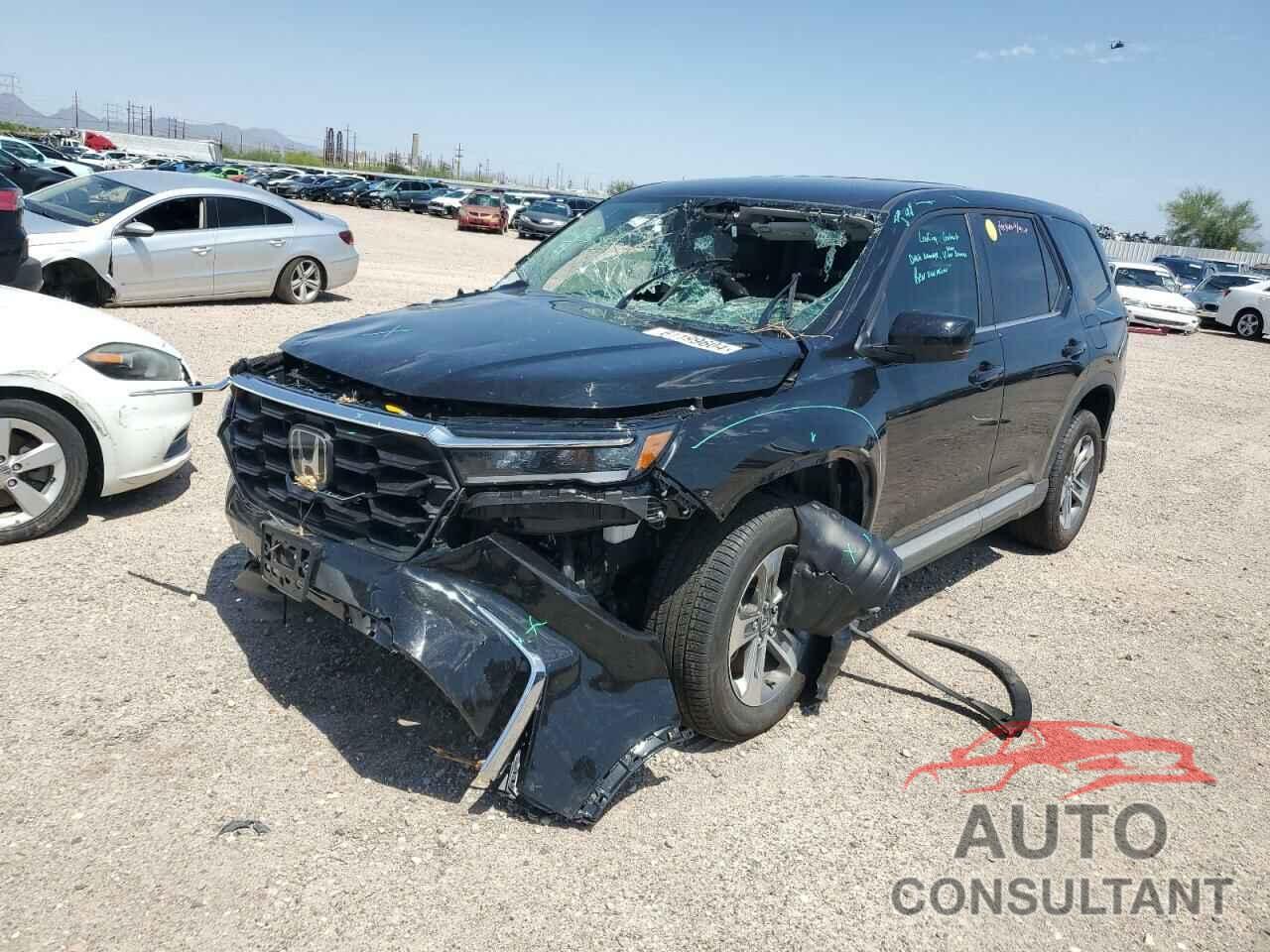 HONDA PILOT 2024 - 5FNYG1H49RB016059