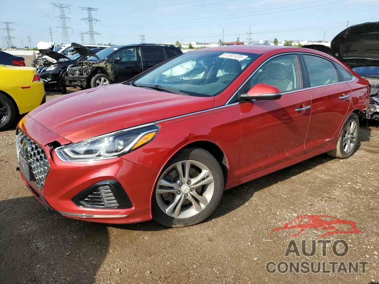 HYUNDAI SONATA 2019 - 5NPE34AF6KH778767