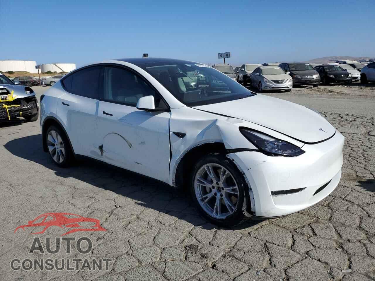TESLA MODEL Y 2024 - 7SAYGDEE8RF983067