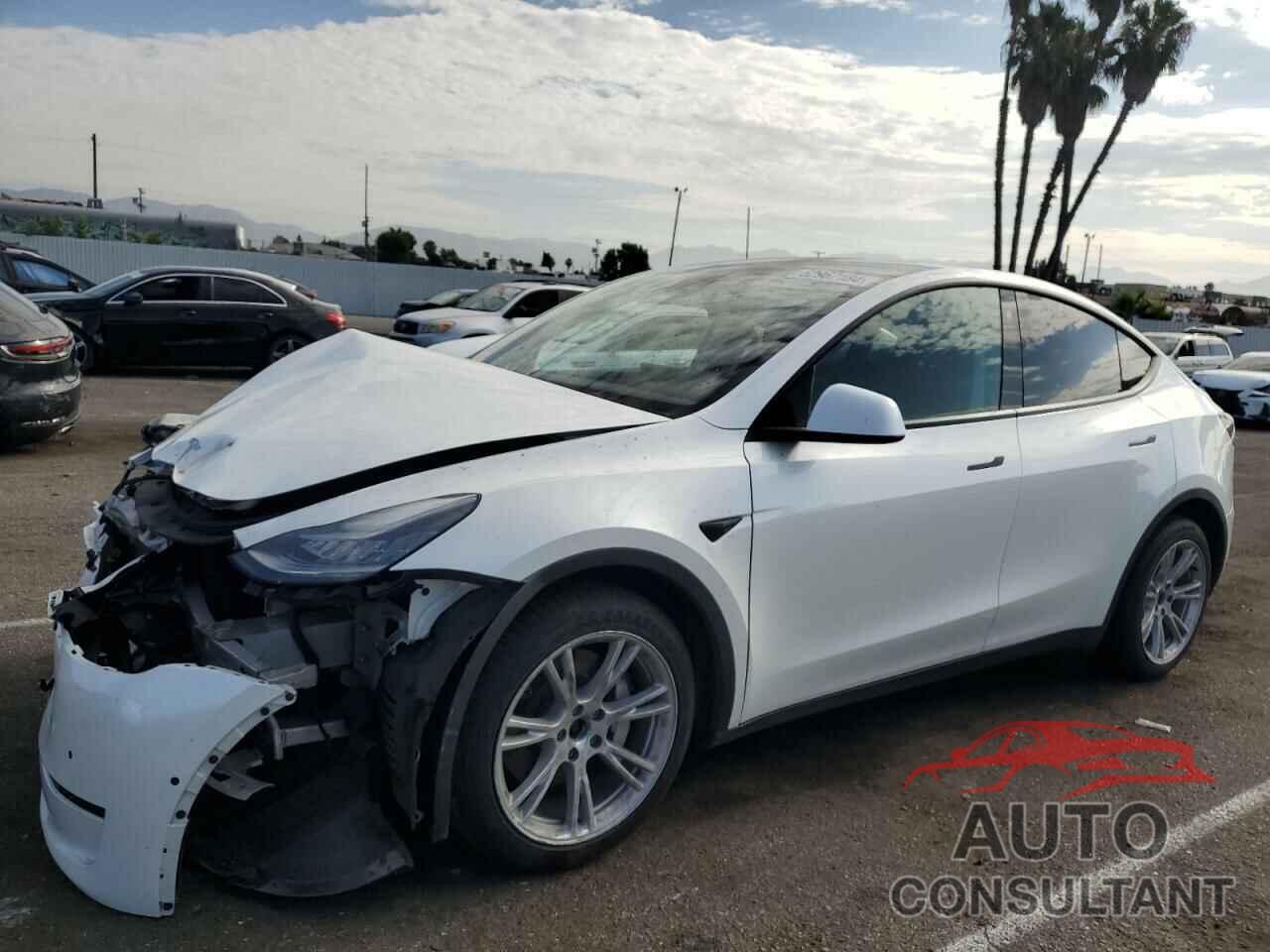 TESLA MODEL Y 2021 - 5YJYGDEE2MF193902