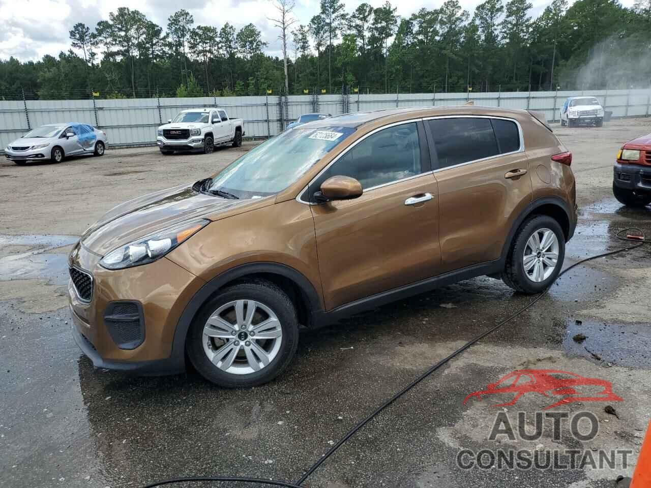 KIA SPORTAGE 2017 - KNDPM3AC1H7073376