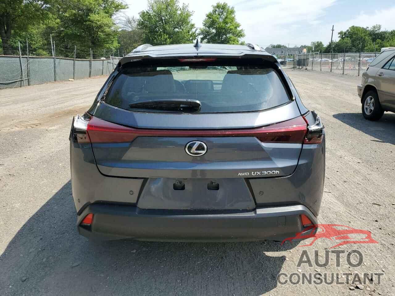 LEXUS UX 300H BA 2025 - JTHUCJDH7S2000551