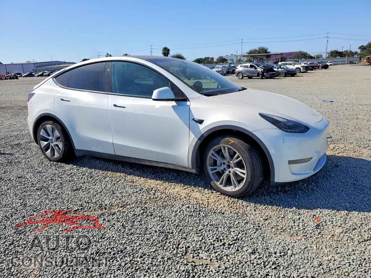 TESLA MODEL Y 2024 - 7SAYGDED2RF088276