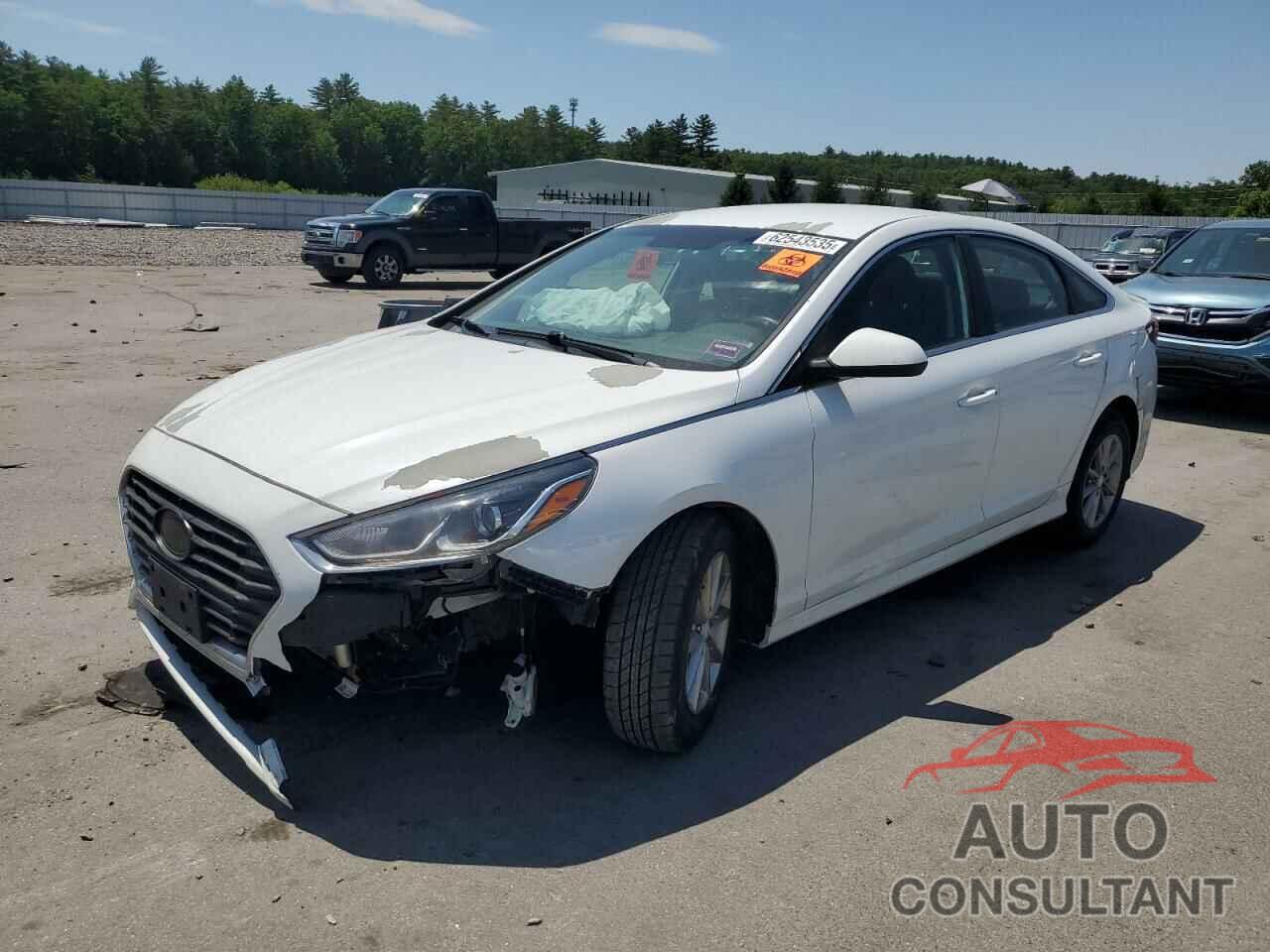 HYUNDAI SONATA 2019 - 5NPE24AF9KH744034