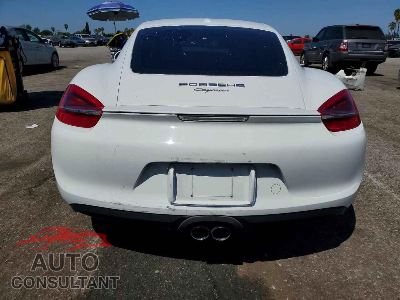 PORSCHE CAYMAN 2015 - WP0AA2A84FK162003