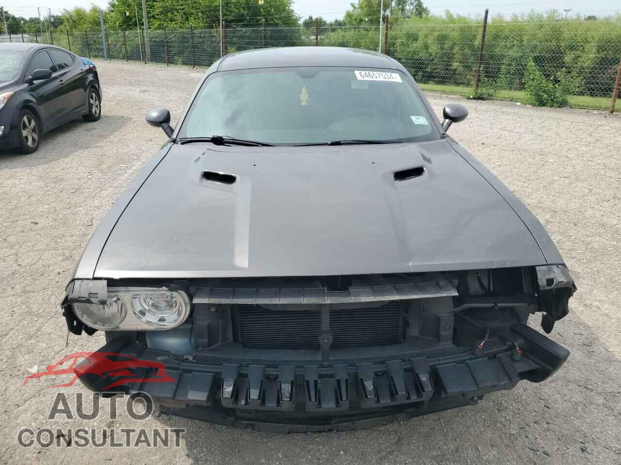 DODGE CHALLENGER 2013 - 2C3CDYAG2DH660154