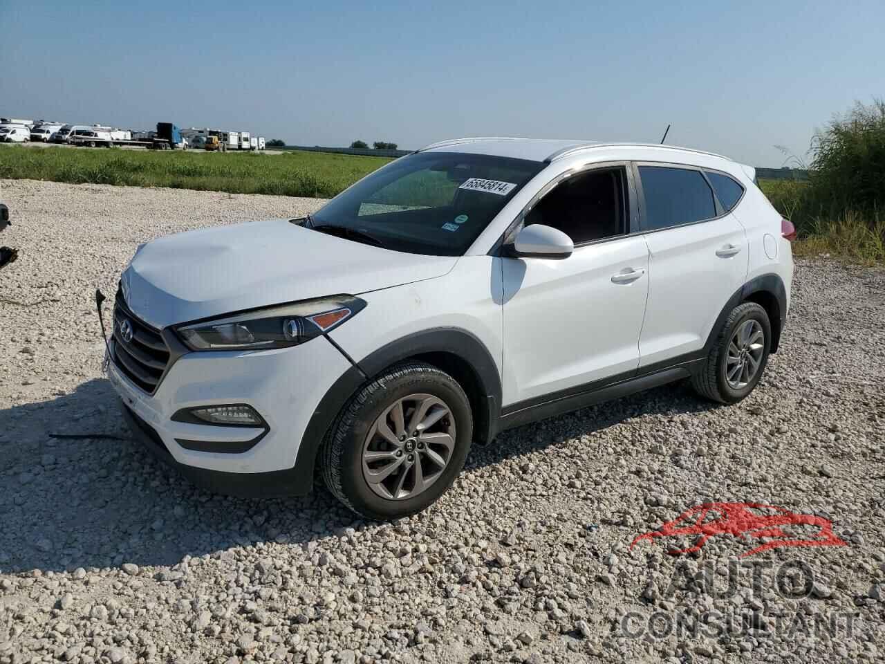 HYUNDAI TUCSON 2017 - KM8J33A42GU145750