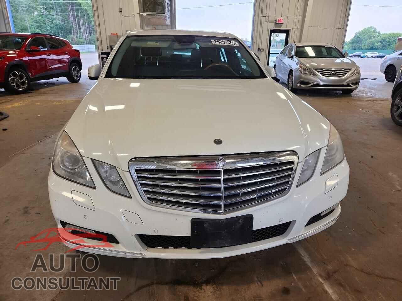 MERCEDES-BENZ E-CLASS 2010 - WDDHF8HB9AA163186