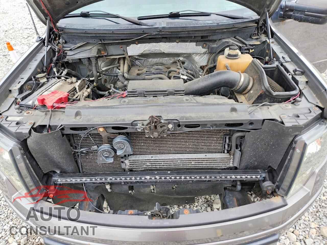 FORD F150 2011 - 1FTFX1EF9BFC11609