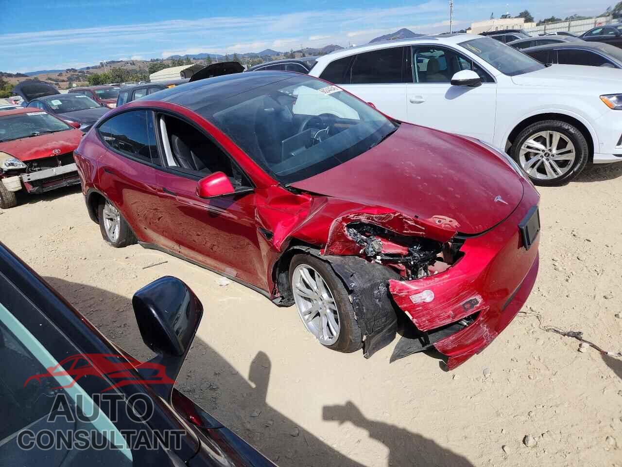 TESLA MODEL Y 2024 - 7SAYGDEE3RF003101