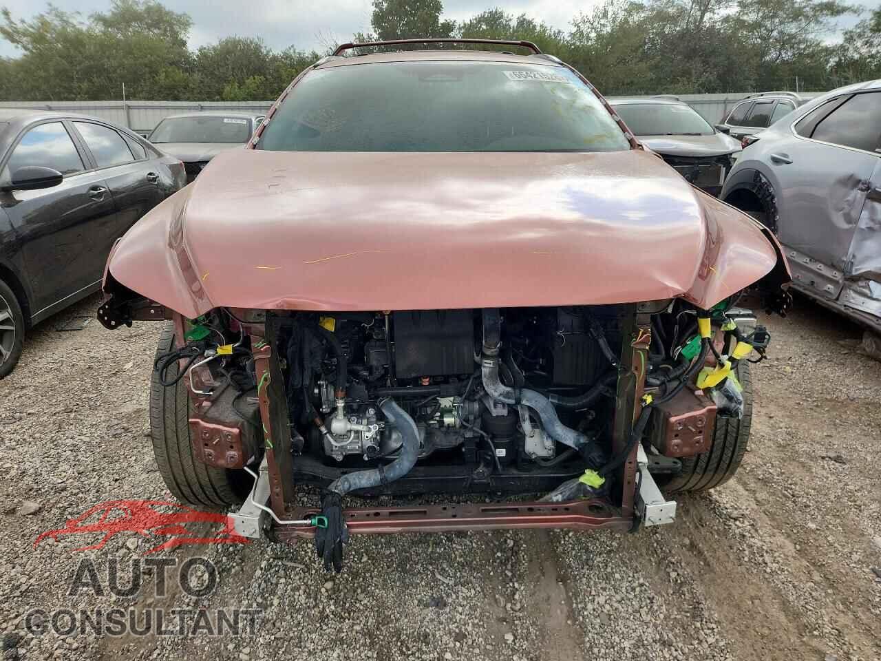 LEXUS RX300 2023 - 2T2BAMCA1PC010680