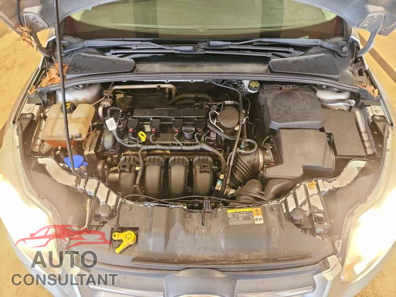 FORD FOCUS 2014 - 1FADP3F25EL232418