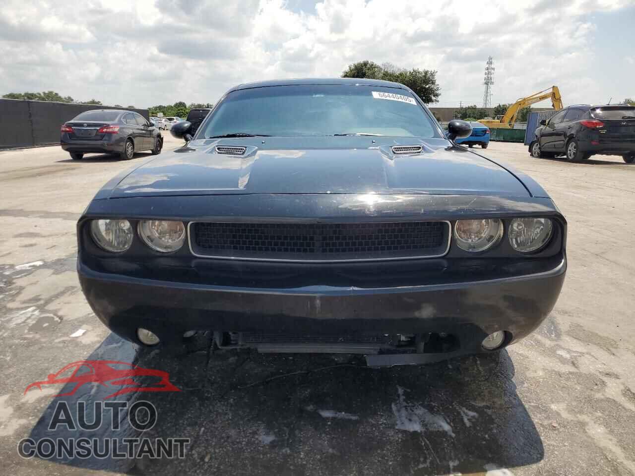 DODGE CHALLENGER 2013 - 2C3CDYAG3DH501580