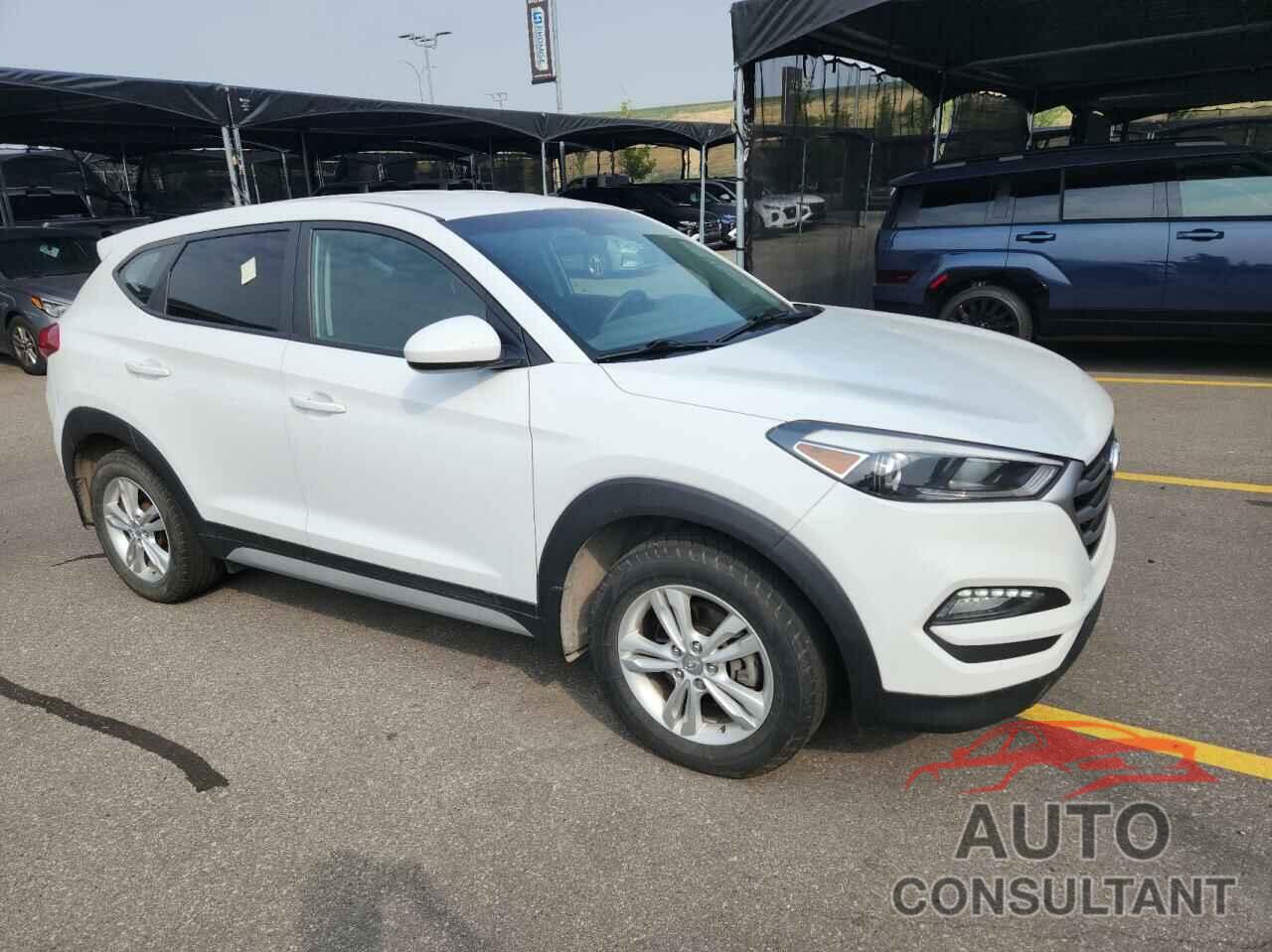 HYUNDAI TUCSON 2018 - KM8J2CA43JU639545