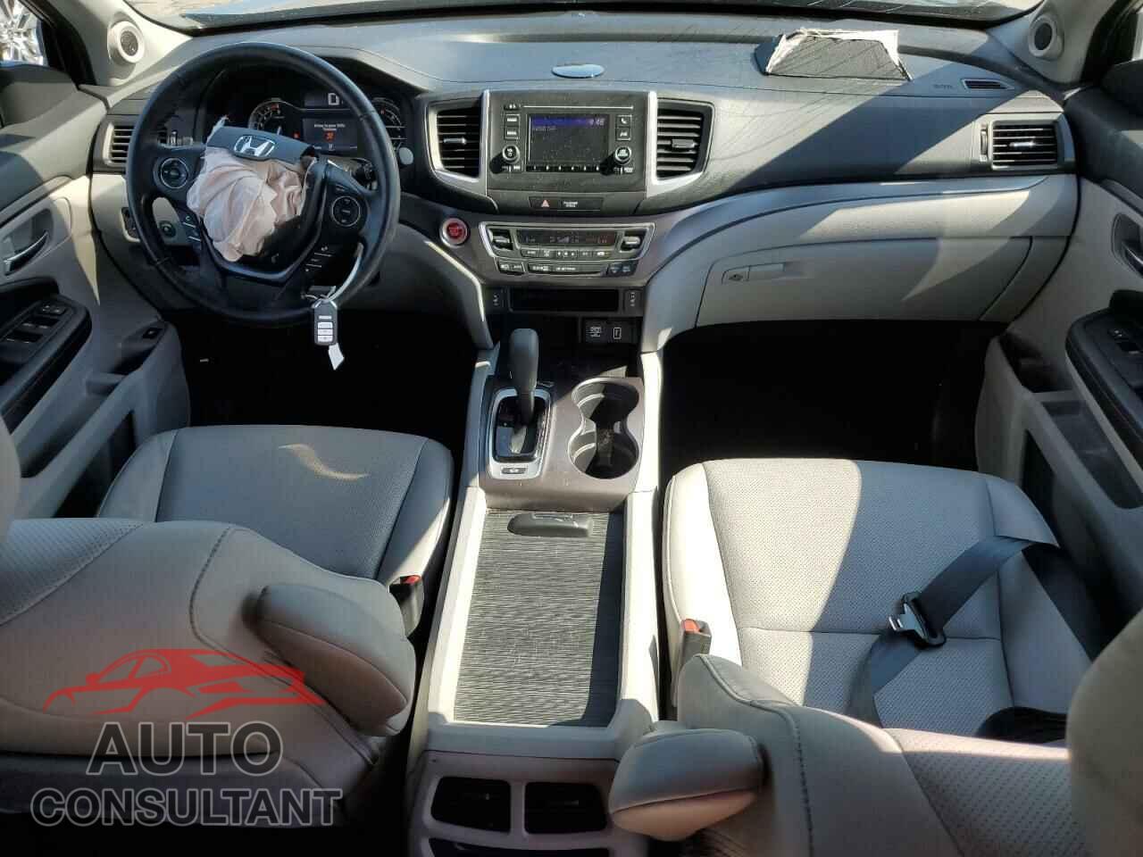 HONDA RIDGELINE 2019 - 5FPYK3F5XKB048294