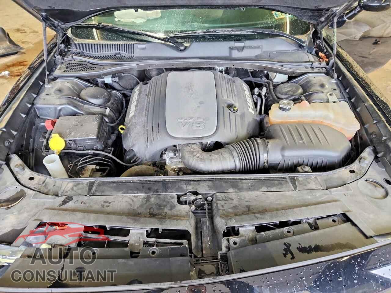 DODGE CHALLENGER 2019 - 2C3CDZBT5KH739087